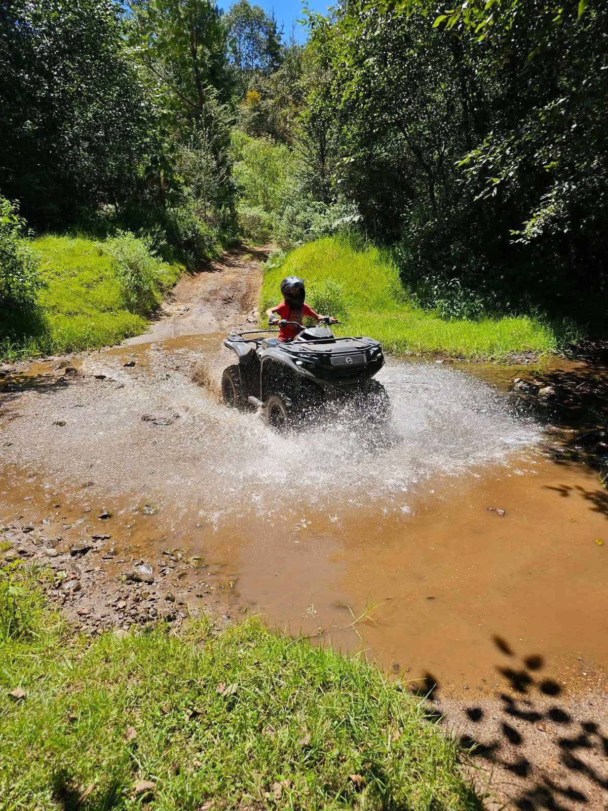 Cuatrimoto cruzando agua en el bosque